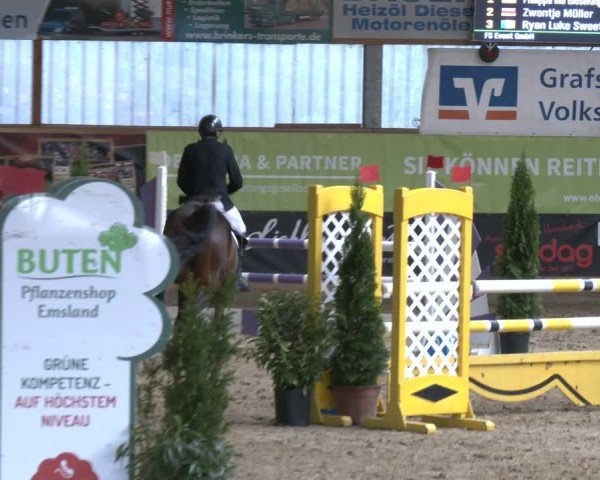 Reitturnier Isterberg 2025