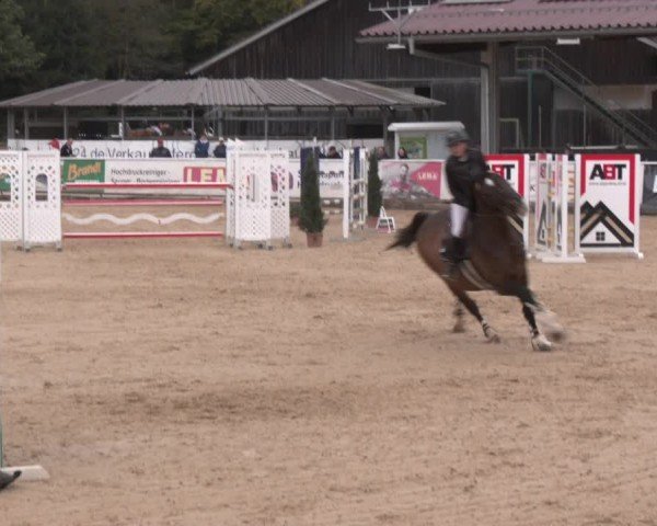 Reitturnier Ranshofen - Braunau am Inn 2025