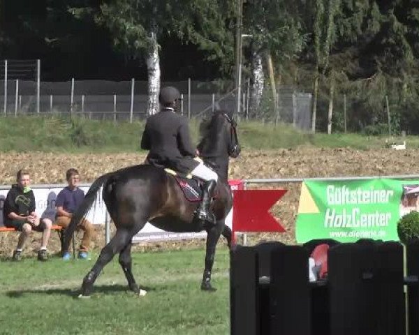 Gültsteiner Springtage 2014