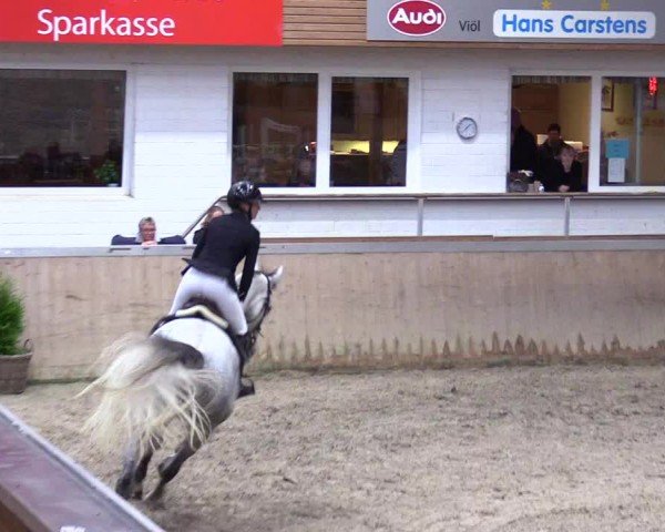 Reitturnier Behrendorf 2025