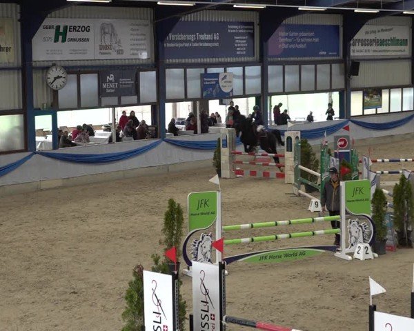 Reitturnier Buchs 2025