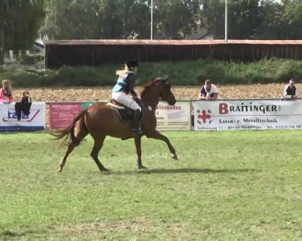 Gültsteiner Springtage 2014