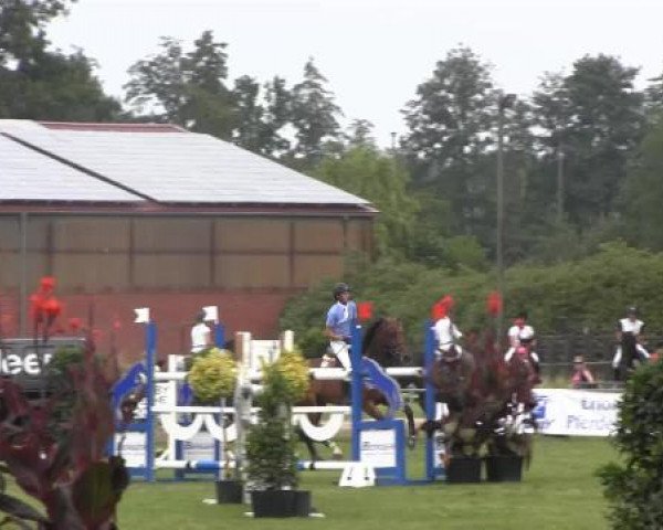 Dressur- und Springturnier Rheine-Wadelheim 2014