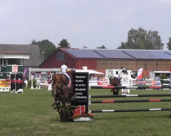 Dressur- und Springturnier Rheine-Wadelheim 2014