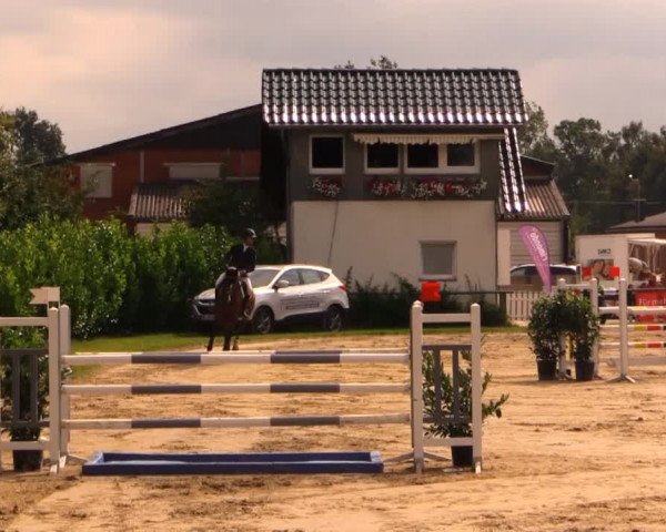 Datteln 2014