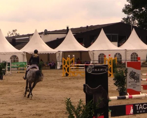 Datteln 2014