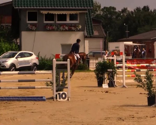 Datteln 2014
