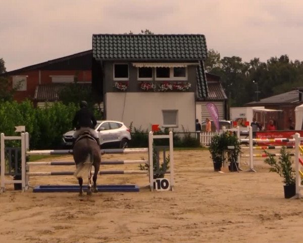 Datteln 2014