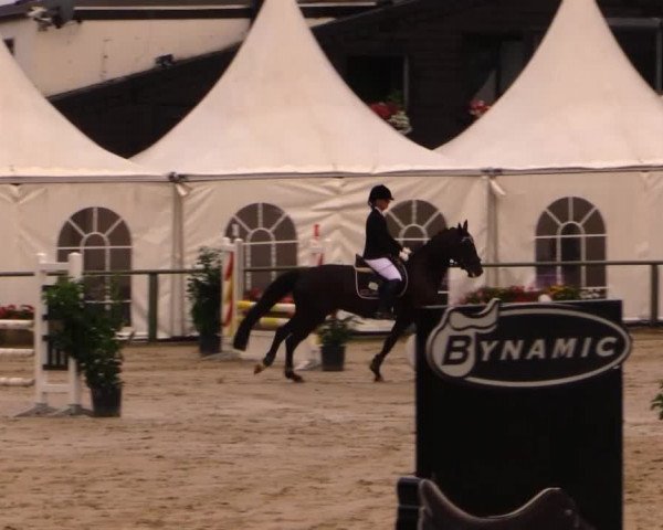 Datteln 2014