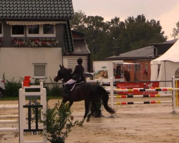 Datteln 2014