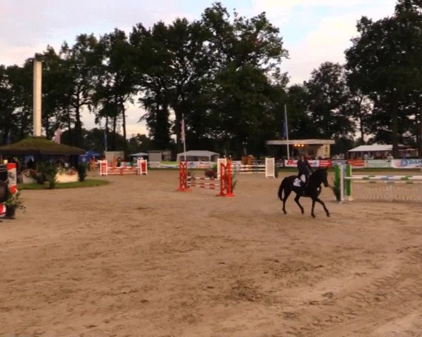 Datteln 2014