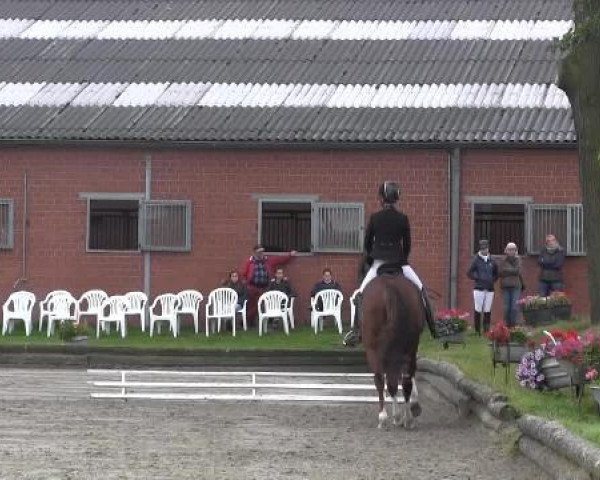 Datteln 2014