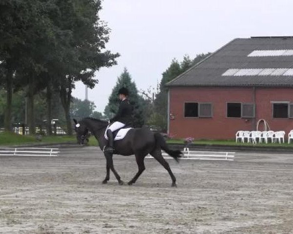 Datteln 2014