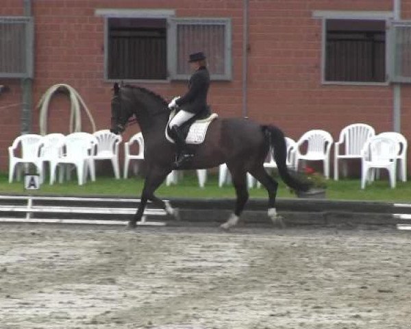 Datteln 2014