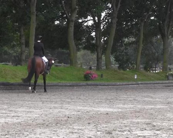 Datteln 2014