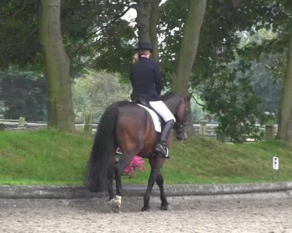 Datteln 2014