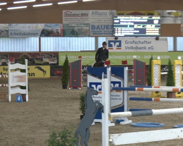 Tournoi Équestre Isterberg 2025