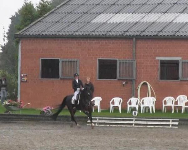 Datteln 2014
