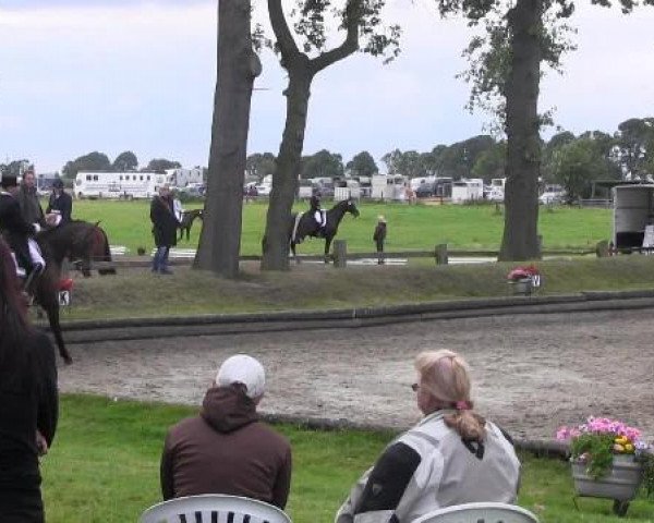 Datteln 2014