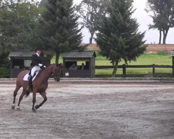 Datteln 2014