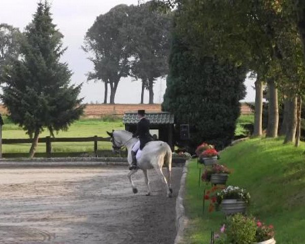 Datteln 2014