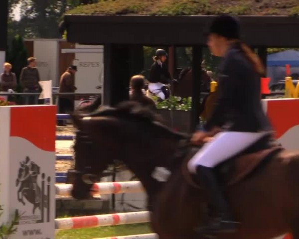 Datteln 2014