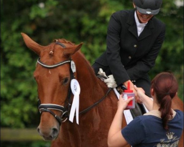 horse Felix de Luxe 5 (Rhinelander, 2005, from Fürst Piccolo)