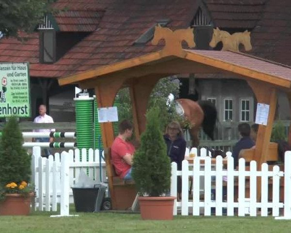 Reitturnier Georgsmarienhütte 2014