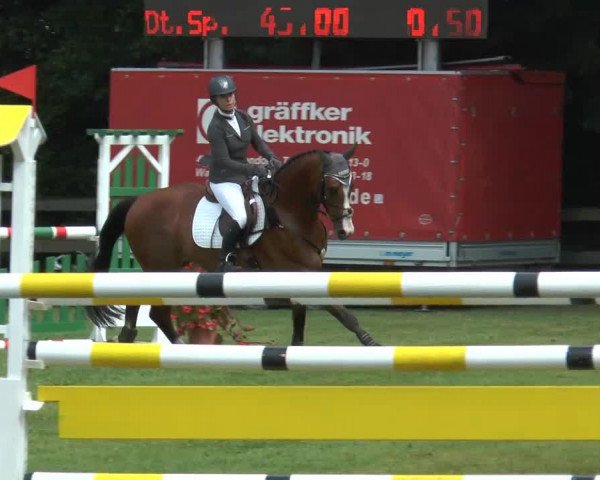 Reitturnier Georgsmarienhütte 2014