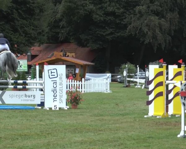 Reitturnier Georgsmarienhütte 2014