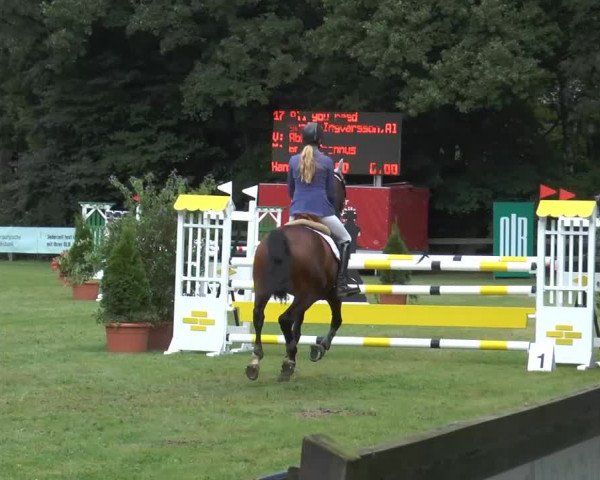 Reitturnier Georgsmarienhütte 2014