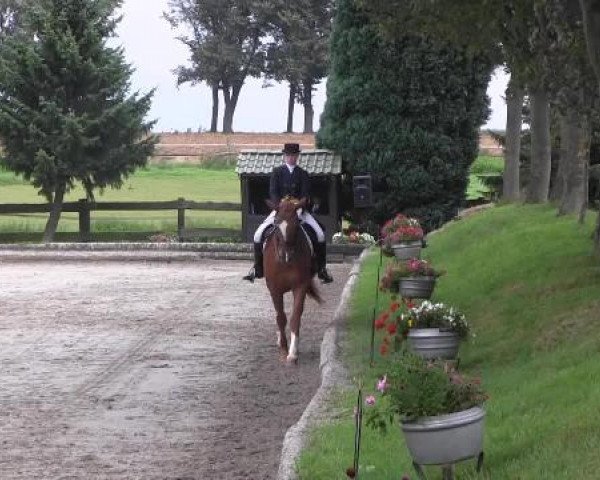 Datteln 2014
