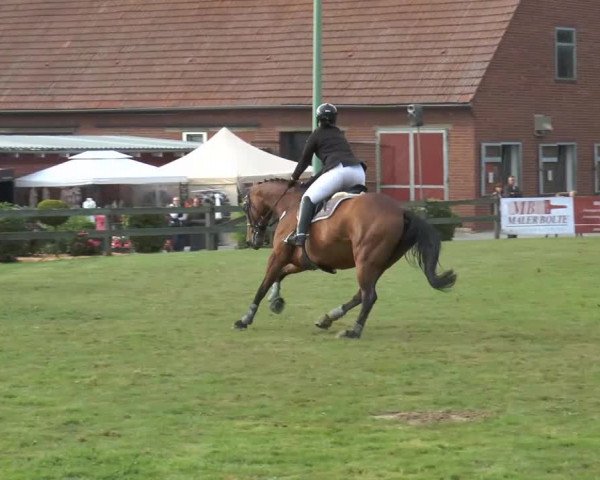 Reitturnier Georgsmarienhütte 2014
