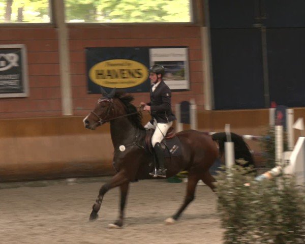 Reitturnier Mönchengladbach - Schloss Wickrath 2025