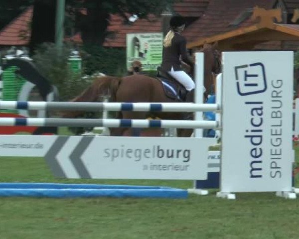 Reitturnier Georgsmarienhütte 2014