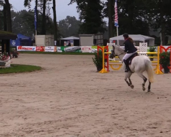 Datteln 2014