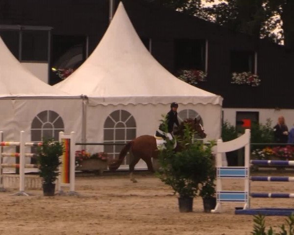Datteln 2014