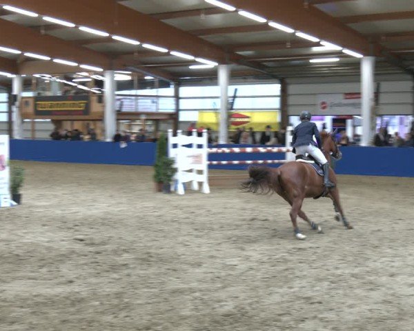 Equestrian Show Isterberg 2025