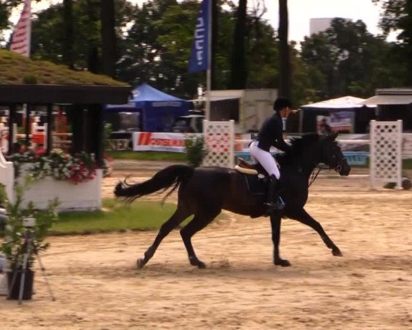 Datteln 2014