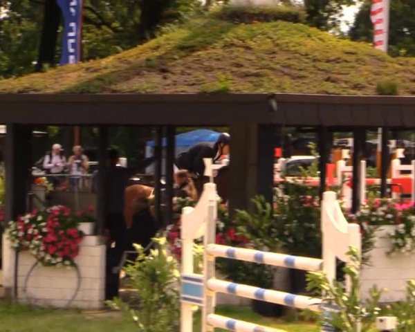 Datteln 2014