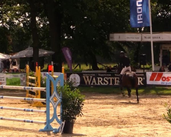Datteln 2014