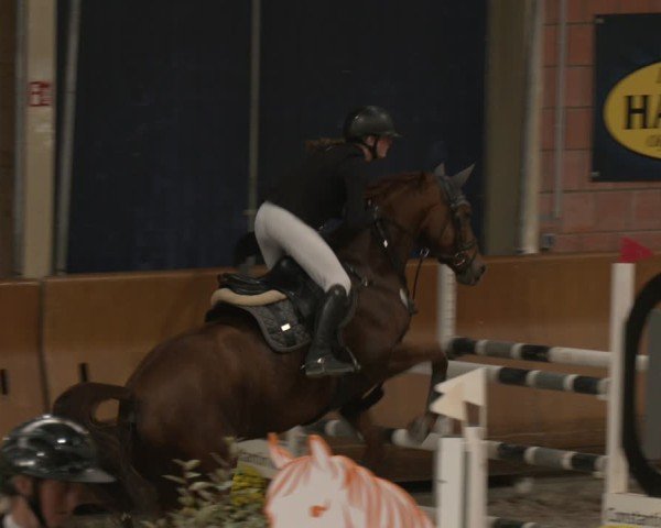 Reitturnier Mönchengladbach - Schloss Wickrath 2025