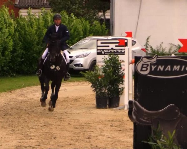 Datteln 2014