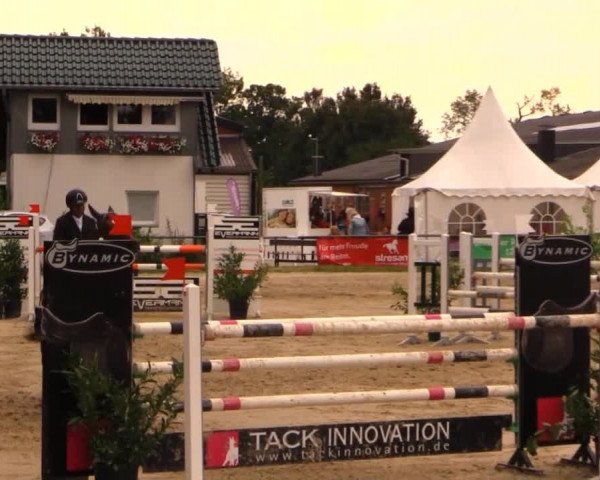 Datteln 2014
