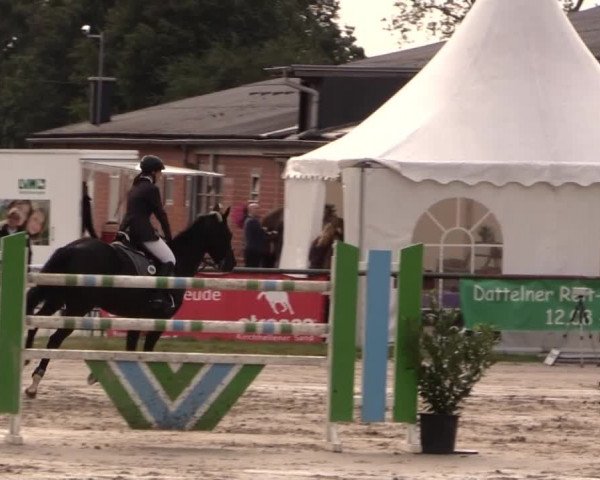 Datteln 2014