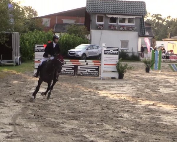 Datteln 2014