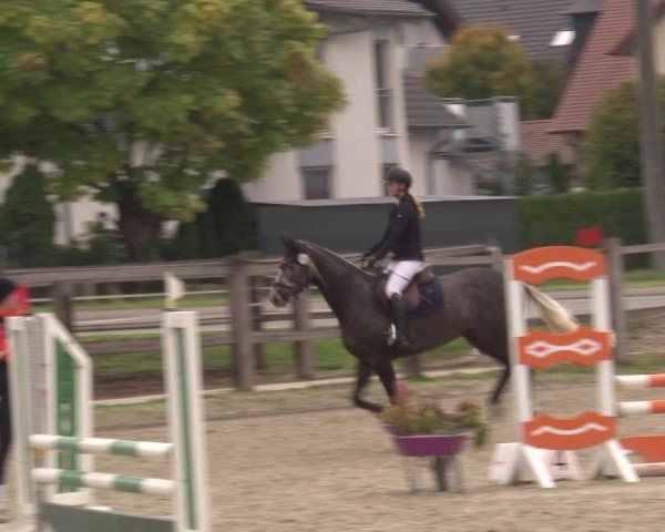 Reitturnier Poxdorf/Ofr 2025