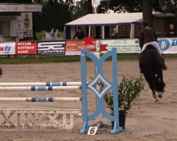 Datteln 2014