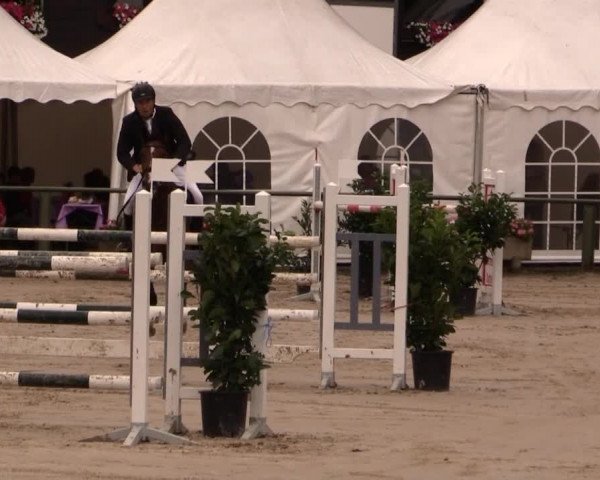 Datteln 2014