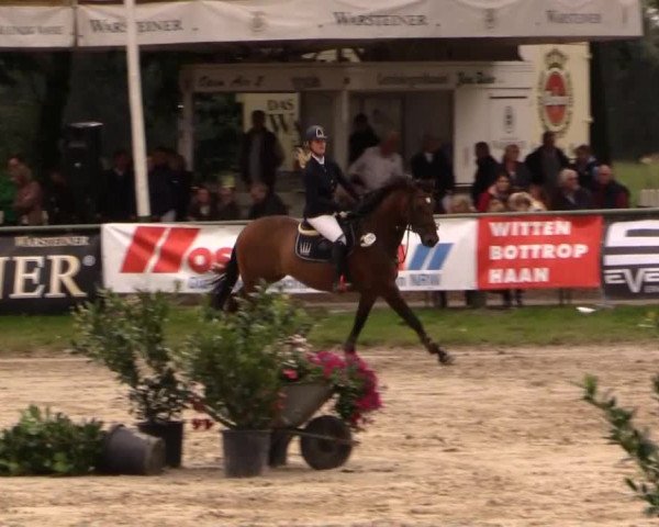 Datteln 2014